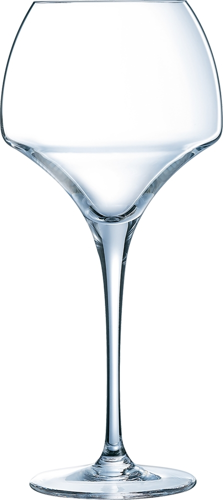 Beer Premium Biertulpe 55cl